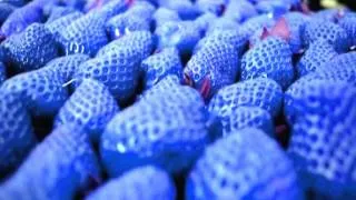 Blue Strawberries