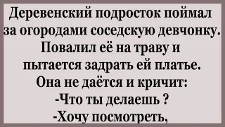 Деревенский подросток встретил за  огородами соседскую девчонку... Смешные Анекдоты.