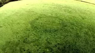 Crop Circle, Graancirkel in Witharen Ommen Overijsssel The Netherlands - Episode 4