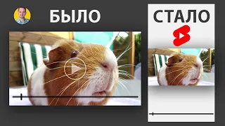 Как сделать из горизонтального 👉 вертикальное видео, чтобы ютуб определял его, как shorts