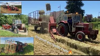 Saison de foin et paille en petites bottes 2021🚜 100% OLDTIMER