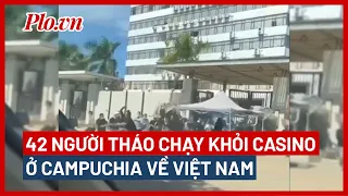 Toàn cảnh vụ 42 người tháo chạy khỏi casino ở Campuchia về Việt Nam - PLO