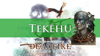 Pillars Of Eternity 2 Deadfire: Tekehu Companion Build Guide (Turn-Based & RTWP)