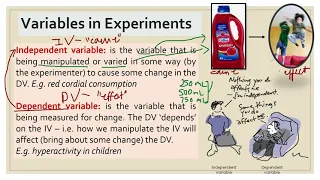 Year 10 Psychology - Spread H - Research Methods (Part 1)