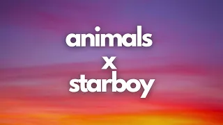 Animals x Starboy Tiktok Remix Full Version | Maroon 5 x The Weeknd Mashup