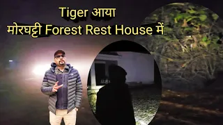 भालू दिखा । Tiger Near Morghatti Forest Rest House । Jim Corbett National Park । Safari ।Jungle Stay