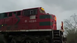 Tren FALMY rumbo Monterrey con 5 máquinas a toda potencia #train #railway