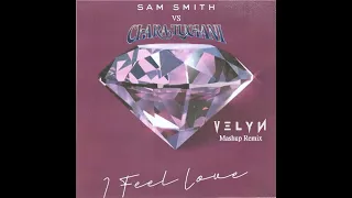 I Feel Love vs C'est L'amour [Sam Smith vs Clara Luciani] (VELYN Mashup)
