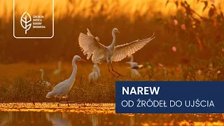 Narew - od źródeł do ujścia