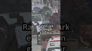 Rafahni tark etayotgan g‘azoliklar