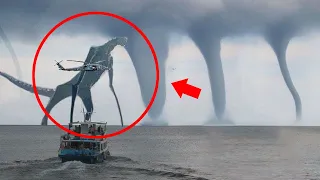 Mysterious Giant Creatures Caught On Camera