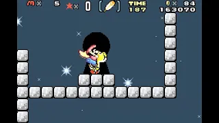 [WR] Super Mario Advance 2 - 96 ExitS in 29:28