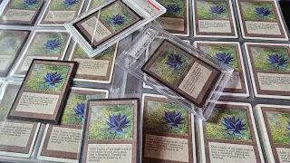 The Black Lotus - The Most Counterfeited Card