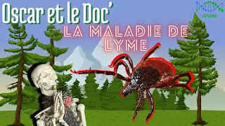 Maladie de Lyme : comment la repérer ? On vous dit tout !