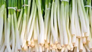 Eating Green Onions: Benefits and Nutrition Facts That You May not Know | Health And Nutrition