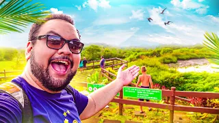 Cet ENDROIT est INCROYABLE à TAHITI ! (VLOG Lundi Let's Go #8) 🌴