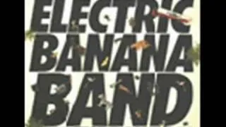 Electric banana band - olyckans reflexsång