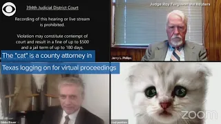 You won't stop laughing at this Texas legal call with a cat Zoom filter