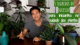 5 Dicas de ouro para iniciantes no cuidado de plantas