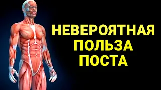 10 НЕВЕРОЯТНЫХ ВЕЩЕЙ, КОТОРЫЕ ПРОИЗОЙДУТ С ВАШИМ ТЕЛОМ ВО ВРЕМЯ ПОСТА В РАМАДАН! Dawah медиа