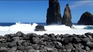 Madeira highlights,  Madeira top 10,  Madeira Urlaub