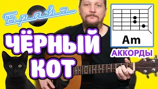 😺 ЧЕРНЫЙ КОТ - ГРУППА "БРАВО" (КАК ИГРАТЬ НА ГИТАРЕ) ПРОСТАЯ ПЕСНЯ (АККОРДЫ БЕЗ БАРРЭ + БОЙ) COVER