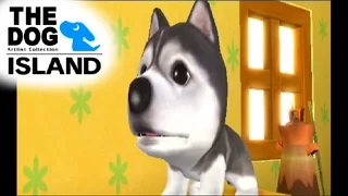 The Dog Island ... (PS2) Gameplay