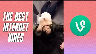 The Best Funny Vines Compilation 2019 // New Vines TBT