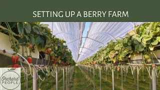 Growing Berries with Kevin Schooley