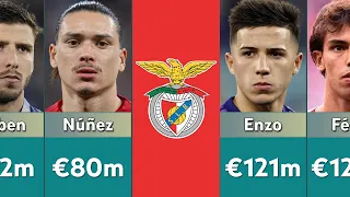 Benfica biggest Profits from Sold Players