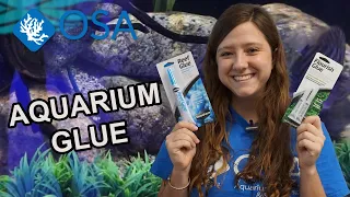 The BEST Aquarium GLUE for YOU!