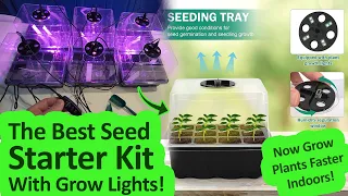 Give UR Plants Steroids! RIOGOO 6 Pack Seed Starter Tray with Grow Light Review - Seed Starter Kit