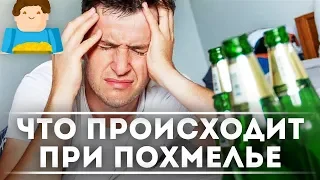 Что происходит при похмелье? [Plushkin]