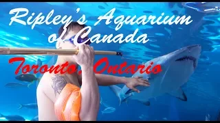 Inside Ripley's Aquarium of Canada