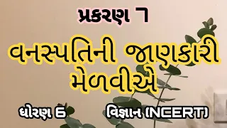 વનસ્પતિની જાણકારી મેળવીએ || Std 6 Sem 1 Unit 7 || Vanspatini Janakari Melaviye || વિજ્ઞાન