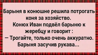 Как Барыня Коня За Хозяйство Трогала! Сборник Свежих Анекдотов! Юмор!