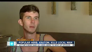 Exclusive: Hillsborough confirms first ever death by herbal supplement Kratom in the county