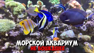 Морской аквариум 🐠 | Не вошедшее ❌