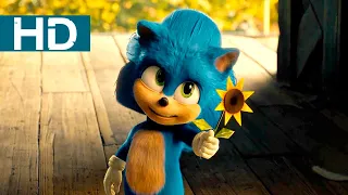 Kirpi Sonic | Küçük Sonic | HD