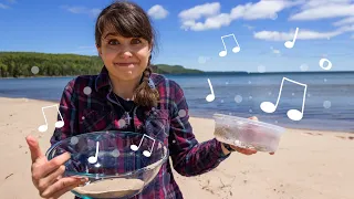 Why Are Some Beaches Squeaky? (The Legend of the Singing Sand) | Bete Grise, Michigan