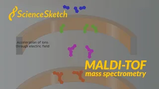 ScienceSketch MALDI-TOF Mass Spectrometry