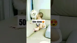 dog and cute baby/funny moments😍 #shorts