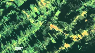 Amazon Deforestation Timelapse