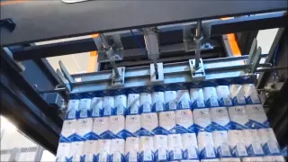 High speed sugar packaging and palletizing (1kg single packages)