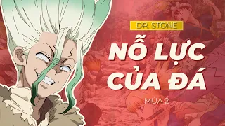 Khi phát hiện ra đối thủ cũng mê idol như mình|Recap Xàm: Dr.Stone Mùa 2