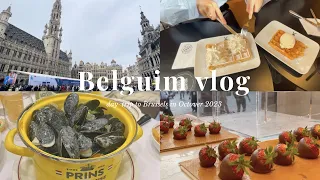 ベルギー日帰り旅行🇧🇪１日で楽しむブリュッセル🍓観光, グルメ旅🥨🍫 Thalysでパリからベルギーへ🚉