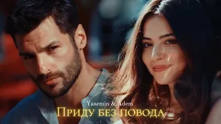 ►Yasemin & Adem | Новая жизнь | Приду без повода