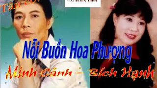 Tân Cổ [Nỗi Buồn Hoa Phượng]: Minh Cảnh - Bích Hạnh "Mỗi năm đến hè lòng man mác buồn..."