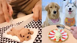 Dog Reaction to Cutting Dog Cake (2019)