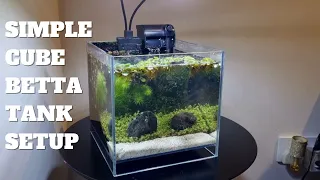 SIMPLE NANO CUBE BETTA TANK SETUP